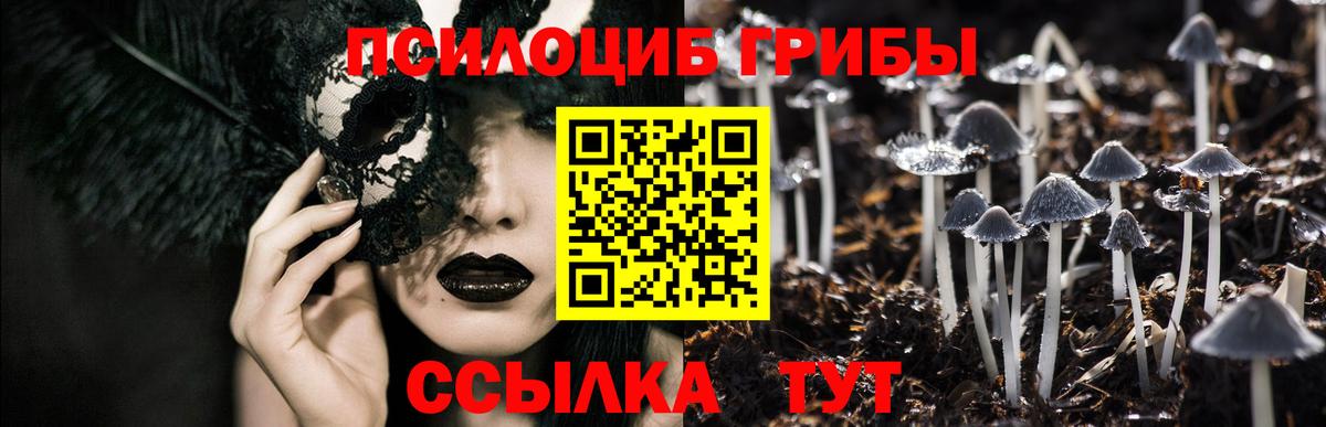 Псилоцибиновые грибы Psilocybe  Псилоцибиновые грибы мухоморы  Вход с VPN  Похвистнево 